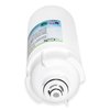 Swift Green Filters SGF-96-03 VOC Replacement water filter for Everpure EV9601-12 SGF-96-03 VOC